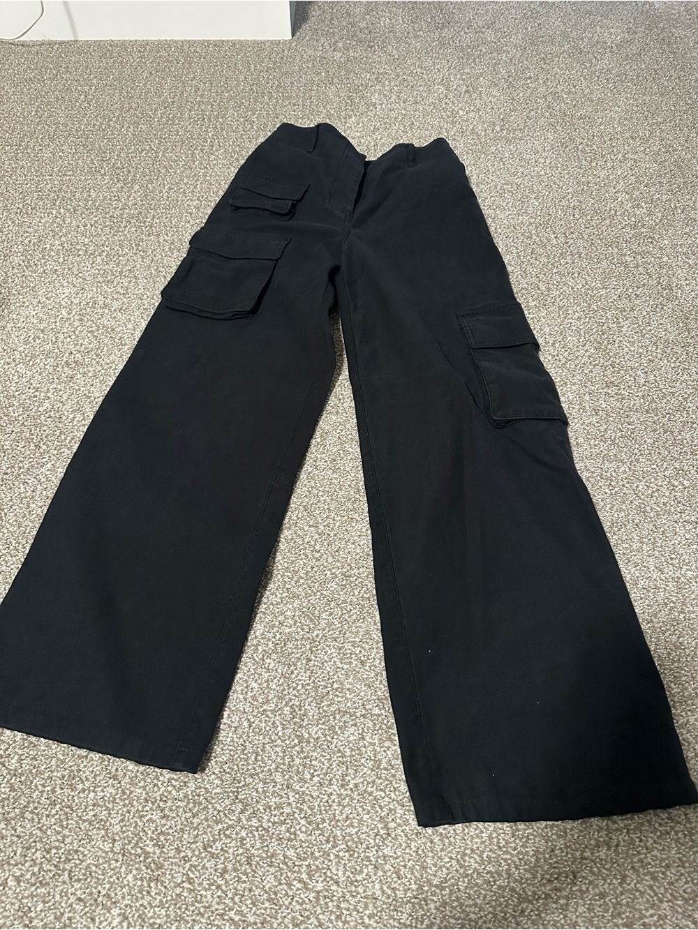 Aritzia Wilfred Free picture cargo pant